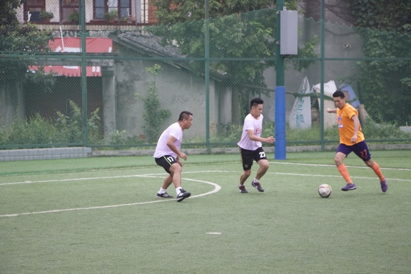 IMG 4474